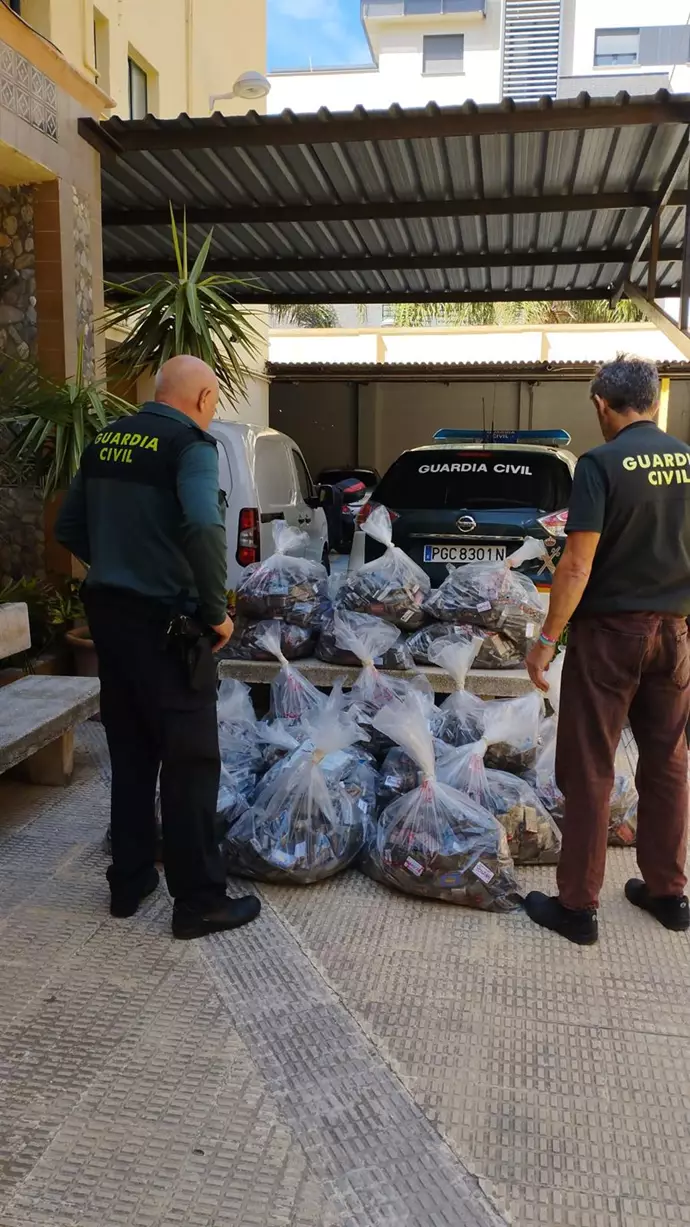 Guardia Civil descubre 456 kilos de hachís en el techo de un semirremolque en el puerto de Motril (Granada)